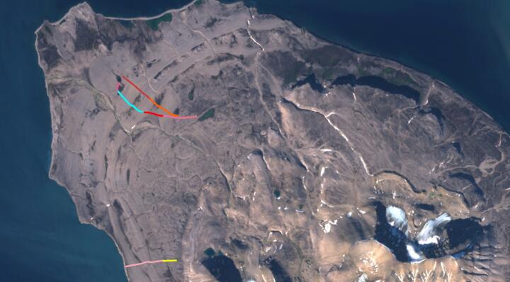 Satellitenbild mit den unterschiedlichen Bodenradarprofilen. Insgesamt haben wir ca. 4,3 km an Profilen aufgenommen, die sowohl Steinkreise, als auch Strandrücken und die dahinterliegenden wasserhaltigen Senken, abdecken