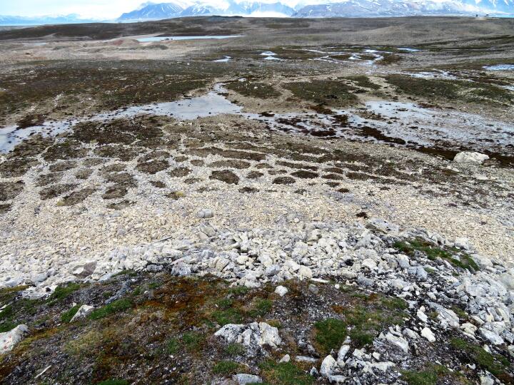Steinkreise am Fuß eines kleinen Hügels von denen wir 2021 Bodenradarprofile gemacht haben