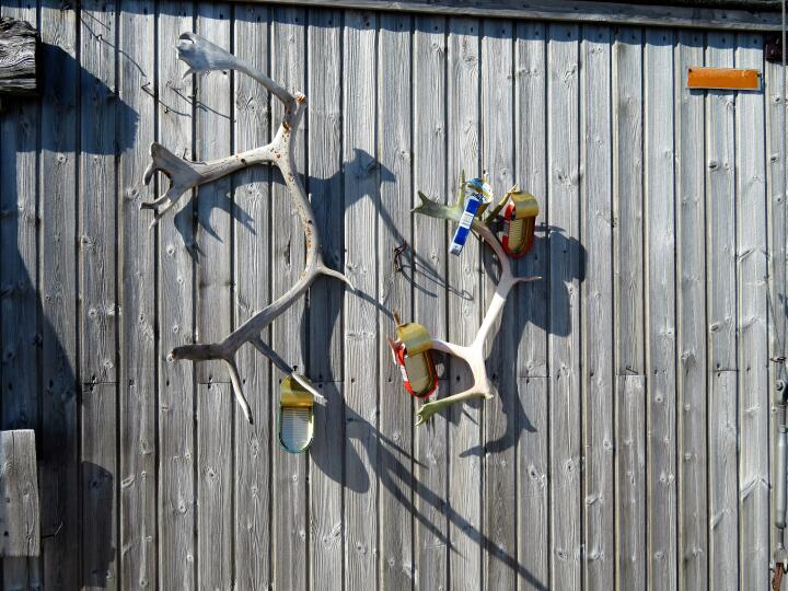Die gespülten Fischbüchsen hängen zum Trocknen an der Geopol-Hütte