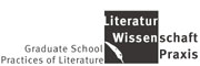 Graduate School Practices of Literature
