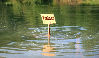 Trainerentlassung