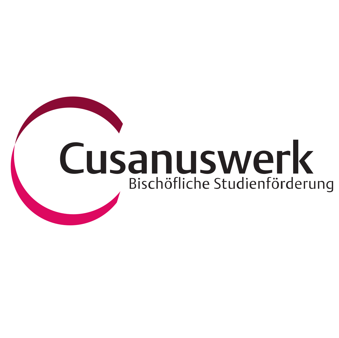 Cusanuswerk Logo1zu1.jpeg
