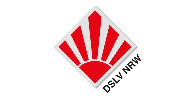 Logo Dslv 2 1