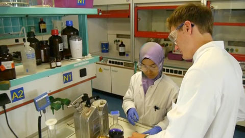 M&uuml;nster University offers 250 degree courses (Bachelor, Master, PhD) with outstanding conditions for studying and doing research. Time spent at M&uuml;nster University is a good investment for the future. 