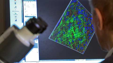 Welche Auswirkungen haben mechanische Beanspruchungen auf Zellen des menschlichen K&ouml;rpers? Prof. Dr. Hans-Joachim Schnittler vom Institut f&uuml;r Anatomie der Universit&auml;t M&uuml;nster entwickelte ein Messger&auml;t, das die Str&ouml;mungsbelastung des Blutes auf Endothelzellen im Zellkulturmodell simuliert.  