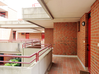 Alexander-v-humboldt2