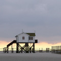 Cover Ws1112