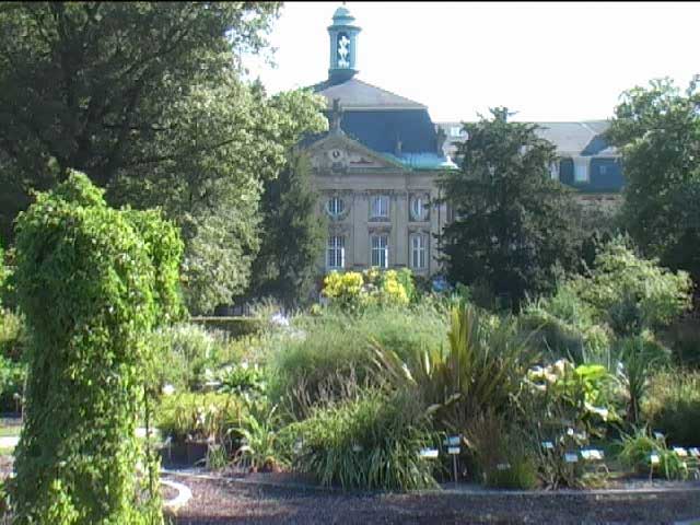 Botanischer Garten