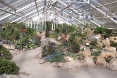 Sukkulentenhausthumb