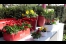 Im Inspirationsgarten, Quelle: Kausch
