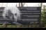 ...oder Gedanken von Einstein, Quelle: Kausch