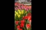 Impressionen Keukenhof 2011, Quelle: Kausch