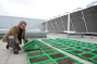 Ideale Bedingungen zur Untersuchung des Samengehalts von Bodenproben findet Prof. Dr. Norbert Hlzel auf dem 20 Meter hohen Dach des Neubaus vor.