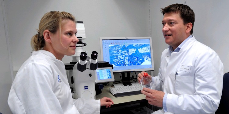 Prof. Thomas Pap mit seiner Kollegin Dr. Jessica Bertrand bei der Arbeit am Mikroskop<address>© IEMM/Cromme</address>