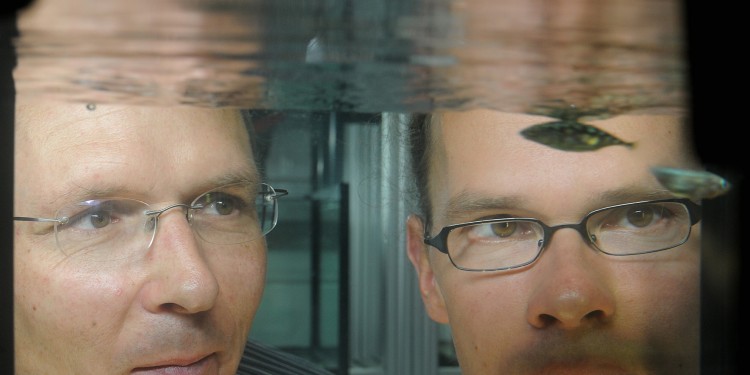 Dr. Jörn Peter Scharsack (links) und Prof. Dr. Joachim Kurtz vom Institut für Evolution und Biodiversität beobachten Stichlinge im neuen Aquarium.<address>© WWU - Grewer</address>