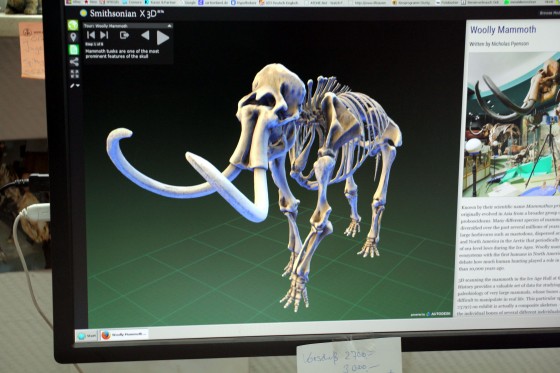 So soll es einmal aussehen: Eine 3-D-Animation hilft Präparator Oliver Kunze nicht nur, die Mammutknochen wieder richtig zusammenzusetzen, sondern auch, die gewünschte Körperstellung einzuhalten.<address>© Jörg Pastoor</address>