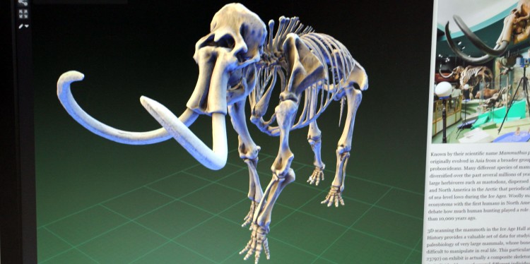 So soll es einmal aussehen: Eine 3-D-Animation hilft Präparator Oliver Kunze nicht nur, die Mammutknochen wieder richtig zusammenzusetzen, sondern auch, die gewünschte Körperstellung einzuhalten.<address>© Jörg Pastoor</address>