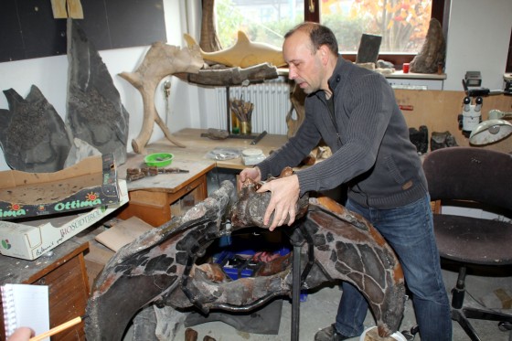 Seit Februar arbeitet Präparator Oliver Kunze in seiner Stuttgarter Werkstatt daran, das aus knapp 200 Teilen bestehende und rund 40.000 Jahre alte Ahlener Mammut wieder in einen vorzeigbaren Zustand zu versetzen.<address>© Jörg Pastoor</address>