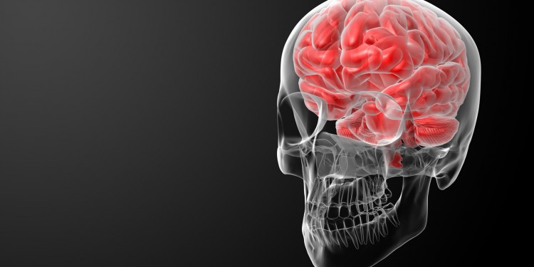 The human brain ...<address>© Illustration: Colourbox.de/Somkiat Fakmee</address>