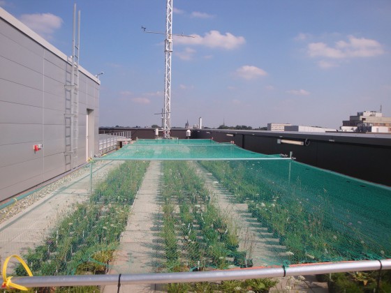 Einer der regionalen Versuche wurde an der WWU auf dem Dach des Neubaus Geo 1 durchgeführt.