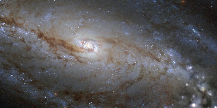 Galaxie "NGC 613", aufgenommen vom Hubble-Teleskop (NASA/ESA)<address>© ESA/Hubble & NASA and S. Smartt (Queen's University Belfast)</address>