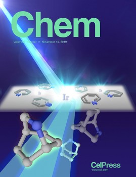 The researchers' study was selected for the cover of the current issue of 