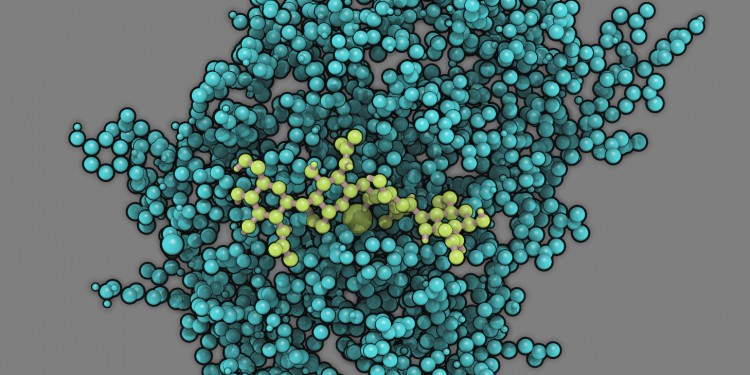 Model of the enzyme chitosan deacetylase (turquoise) with its substrate chitosan (light green) bound in its active site<address>© Martin Bonin</address>