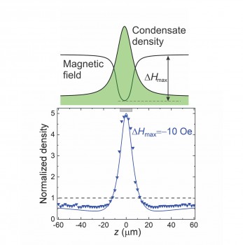 Sketch of the distribution of the condensate in the potential well. Down: signs - the measured condensate density, line – the theoretical result taking into account the repulsive interaction between magnons.<address>© I. V. Borisenko et al./ Nature Communications</address>