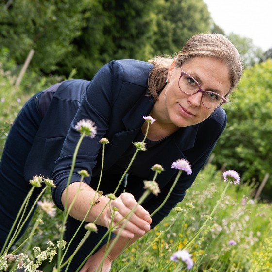 Dr. Anna Lampei-Bucharova investigates how specific plant species are best suited for renaturalisation.<address>© WWU - Peter Leßmann</address>