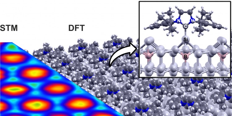 Comparison of the theoretically calculated structure (DFT, right) of the ordered NHC single layer with the experimental scanning tunneling microscopy image (STM, left). N: nitrogen atom, C: carbon atom, Si: silicon atom, B: boron atom.<address>© Dr. Martin Franz and Dr. Hazem Aldahhak</address>