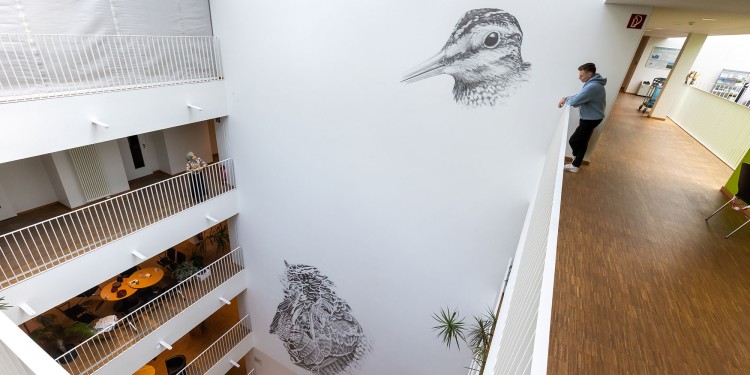 Das Kunstwerk „Bewohnen“ von Nicole Schuck, ist über mehrere Etagen im GEO1-Gebäude zu sehen und zeigt eine übergroße Bekassine.<address>© WWU - MünsterView</address>