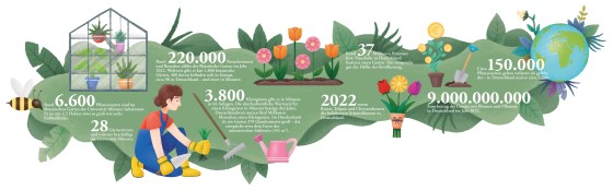 Zahlen & Fakten rund um Gärten<address>© WWU - goldmarie design</address>