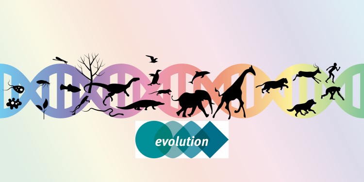 Evolution wird in den unterschiedlichsten Disziplinen erforscht.<address>© alionaprof - stock.adobe.com</address>
