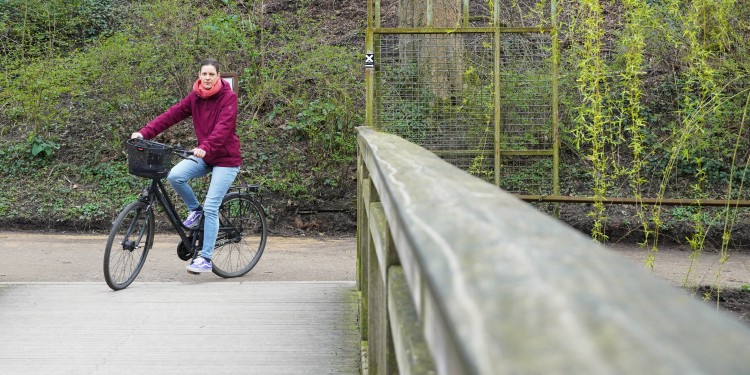 Mit dem Fahrrad zu Terminen fahren, wie hier durch den Schlossgarten, ist für Kathrin Kottke eine willkommene Abwechslung zum vielen Sitzen am Schreibtisch.<address>© Uni MS - Linus Peikenkamp</address>