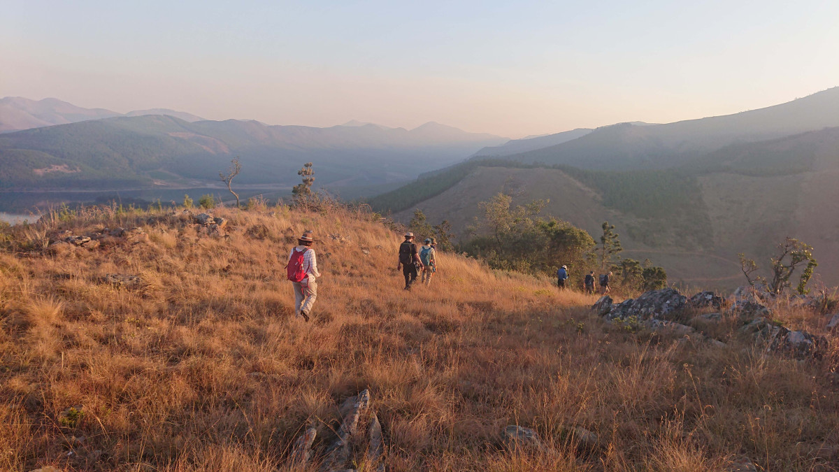 On the trail of Earth's history: Members of the international "BASE" project explore the Moodies Group in South Africa – one of the oldest preserved sediment sequences on Earth, offering unique insights into early life.© Nina Wichern
