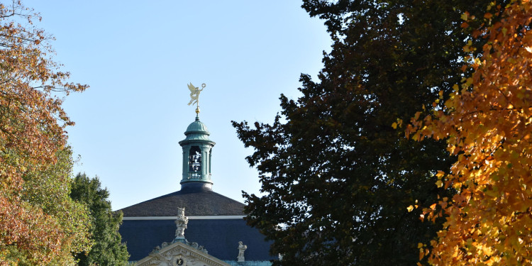 Das Schloss ist zu sehen, davor stehen Bäume im Herbstlicht.<address>© Uni MS - Kathrin Kottke</address>