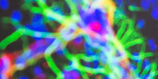 Pl 141105 7877 Fotocredit-peter-lessmann 2 1