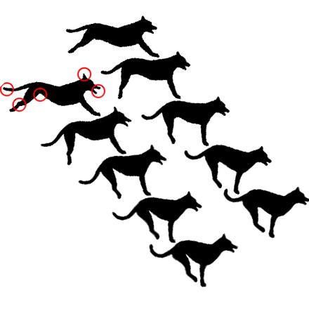 discrete parallel transport