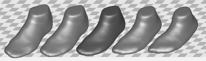 PCA of foot shapes