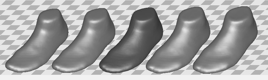 PCA of foot shapes