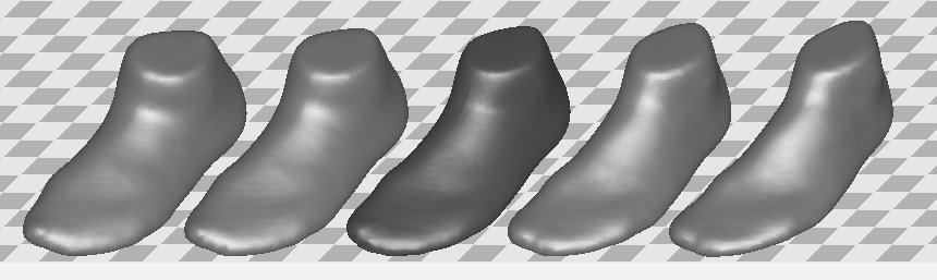 PCA of foot shapes