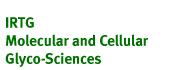 International Research Training Group on Molecular and Cellular Glyco-Sciences (Link to mainpage)