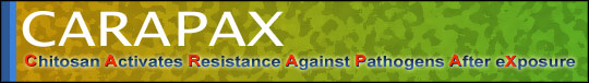 [CARAPAX - Chitosan Activates Resistance Against Pathogens After eXposure]