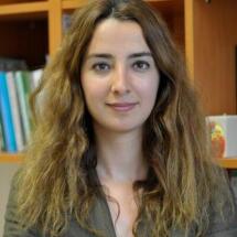 Dr. Nagehan Tokdogan