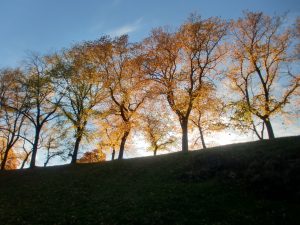 Herbst