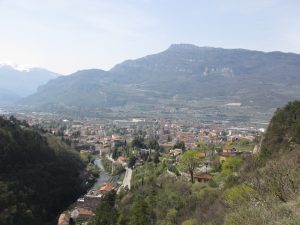 IMG_2053