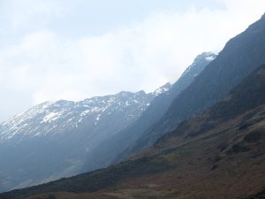 glencoe2