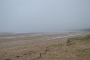 regen