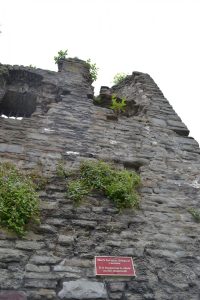 swansea castle