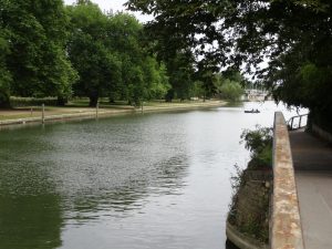 DSC00506